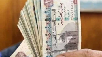 تفاصيل الحد الأدنى للأجور في مرتب نوفمبر 2025: الالتزام بالمرتبات واستمرار الزيادات